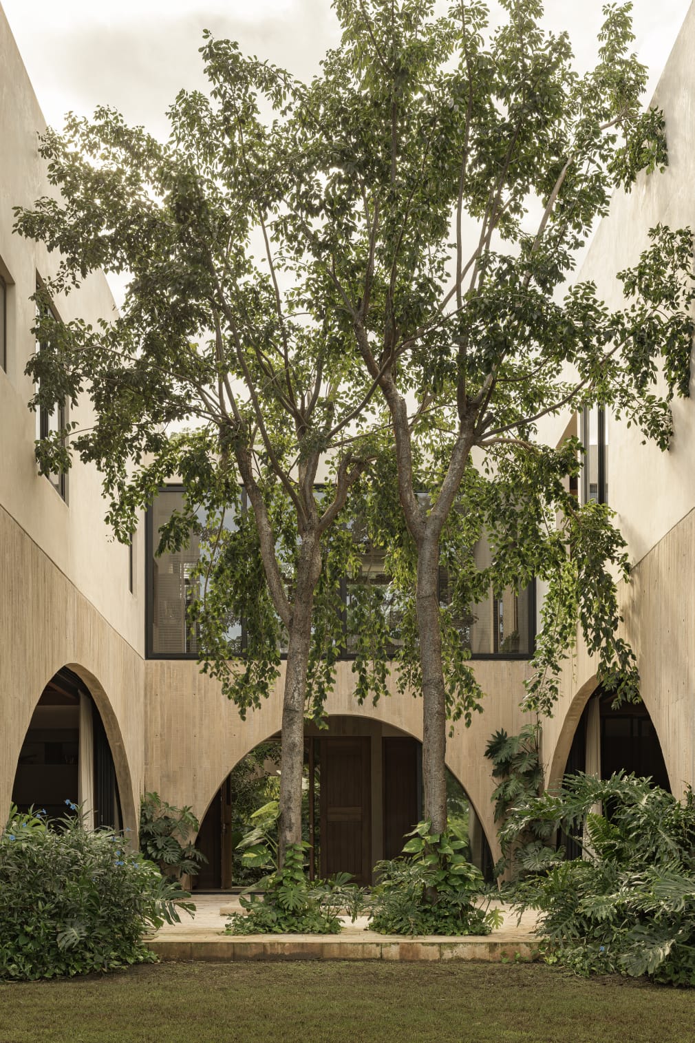 CASA DRAGONES 10