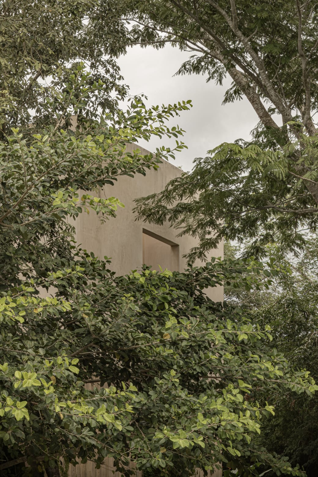 CASA DRAGONES 14
