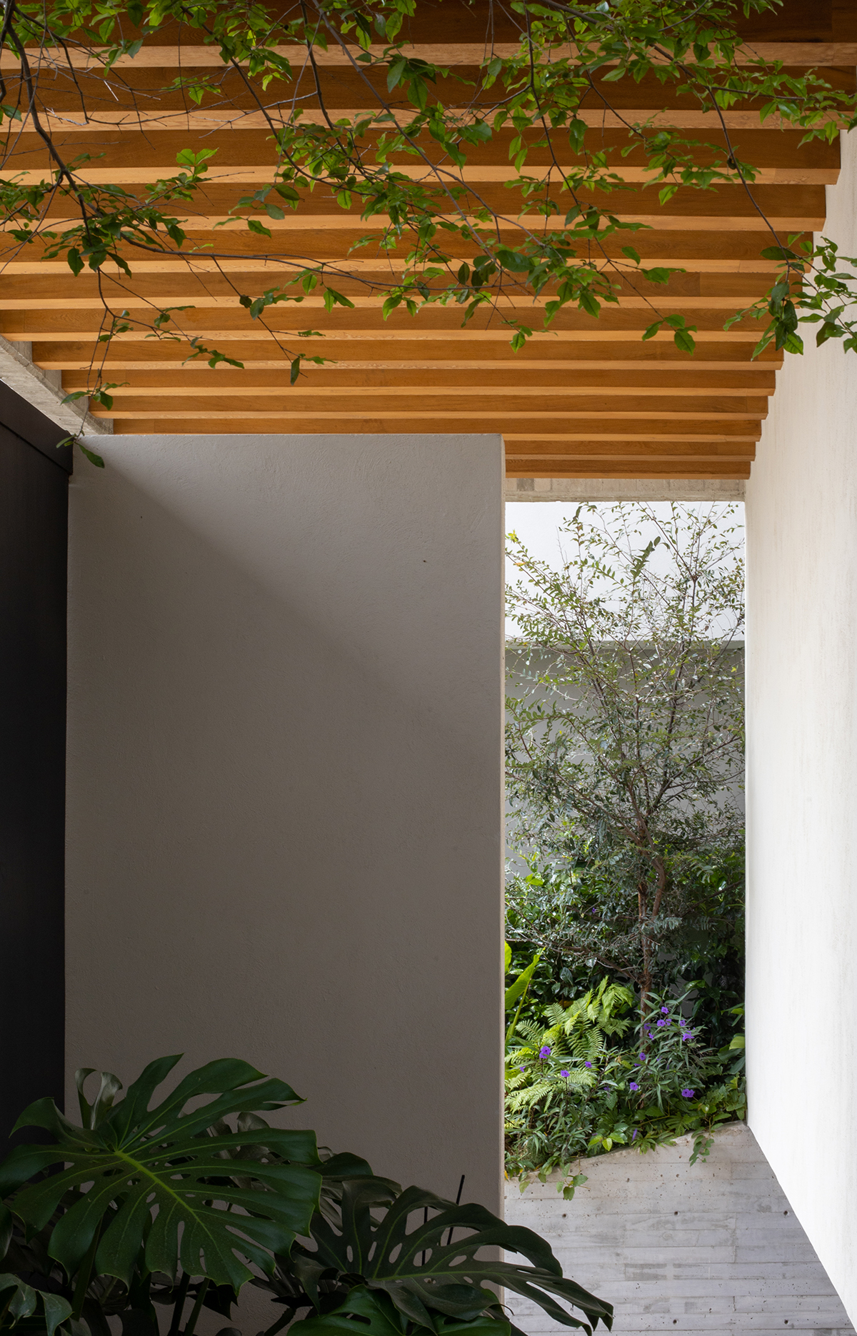 V Taller en Casa Entrelomas