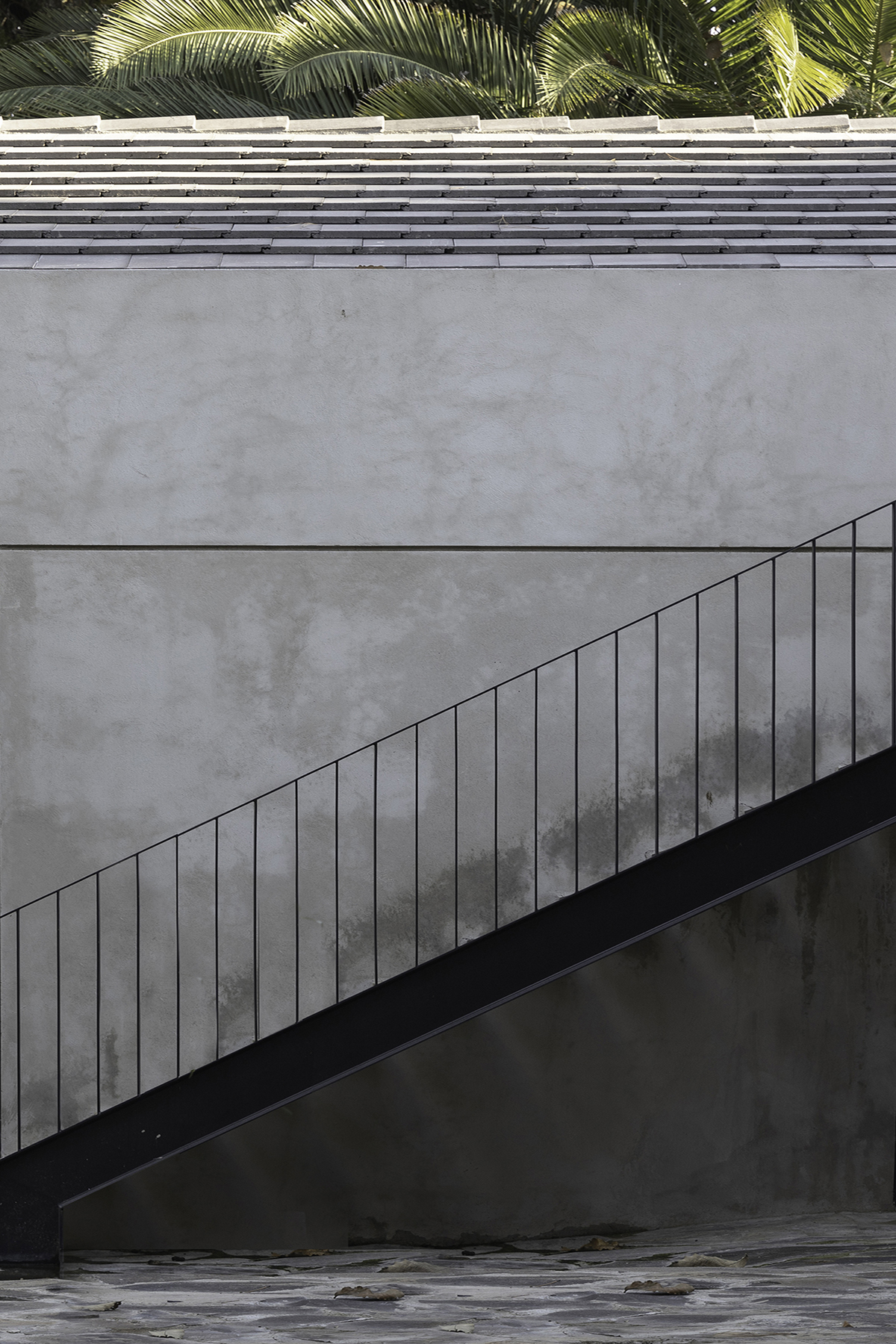 V Taller en Casa Pinar