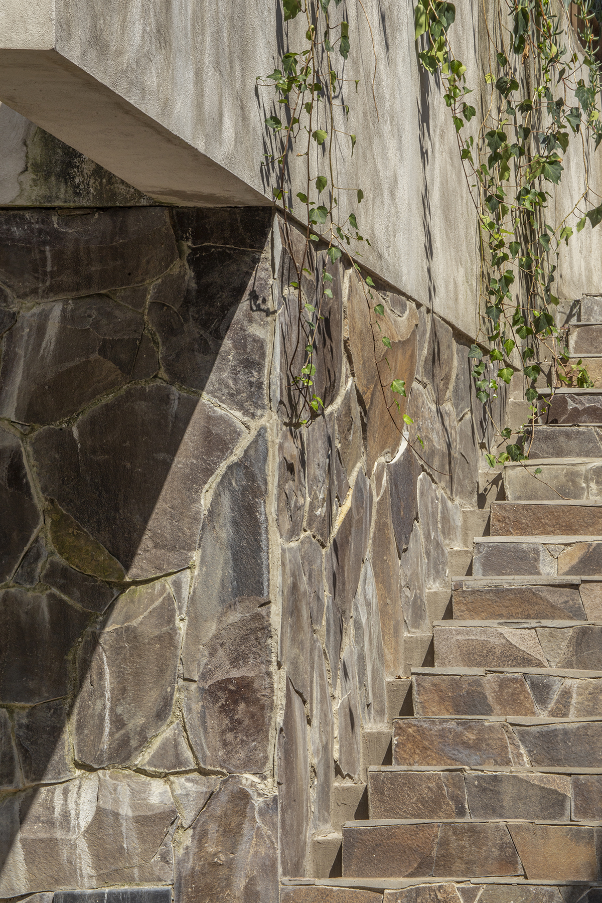 V Taller en Casa Pinar